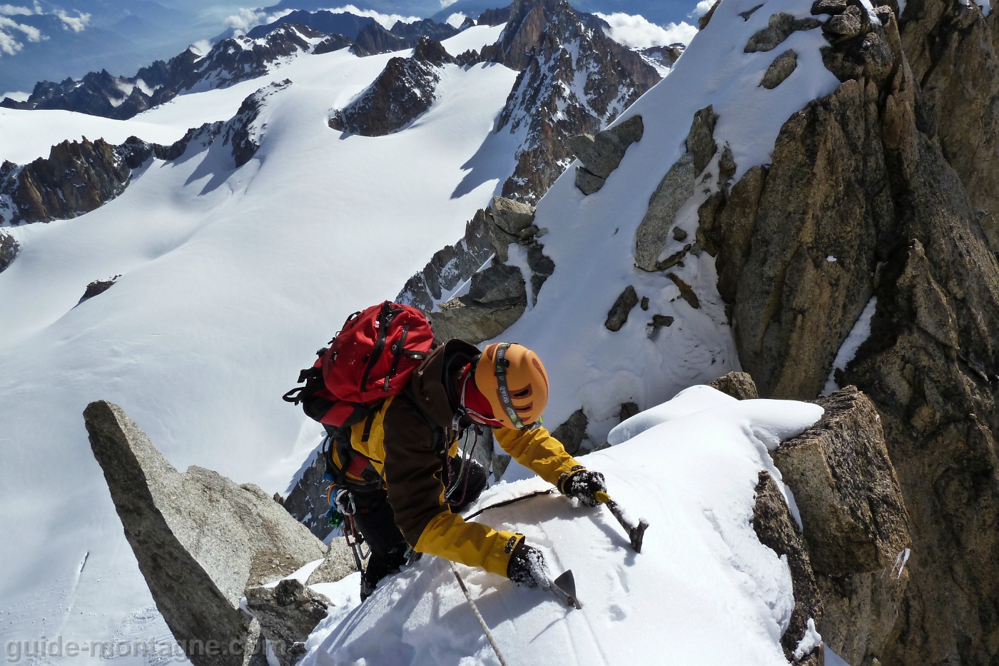 Chardonnet Eperon Migot-14